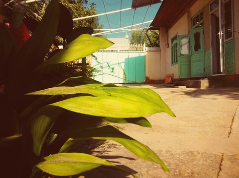 My House! summer times