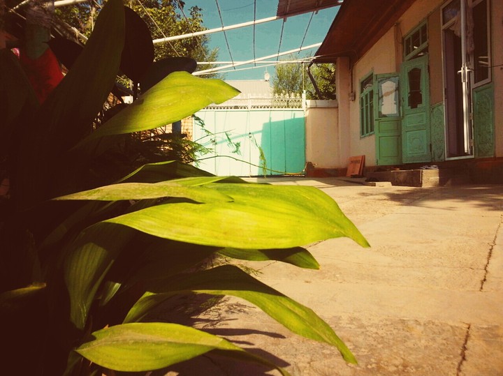 My House! summer times