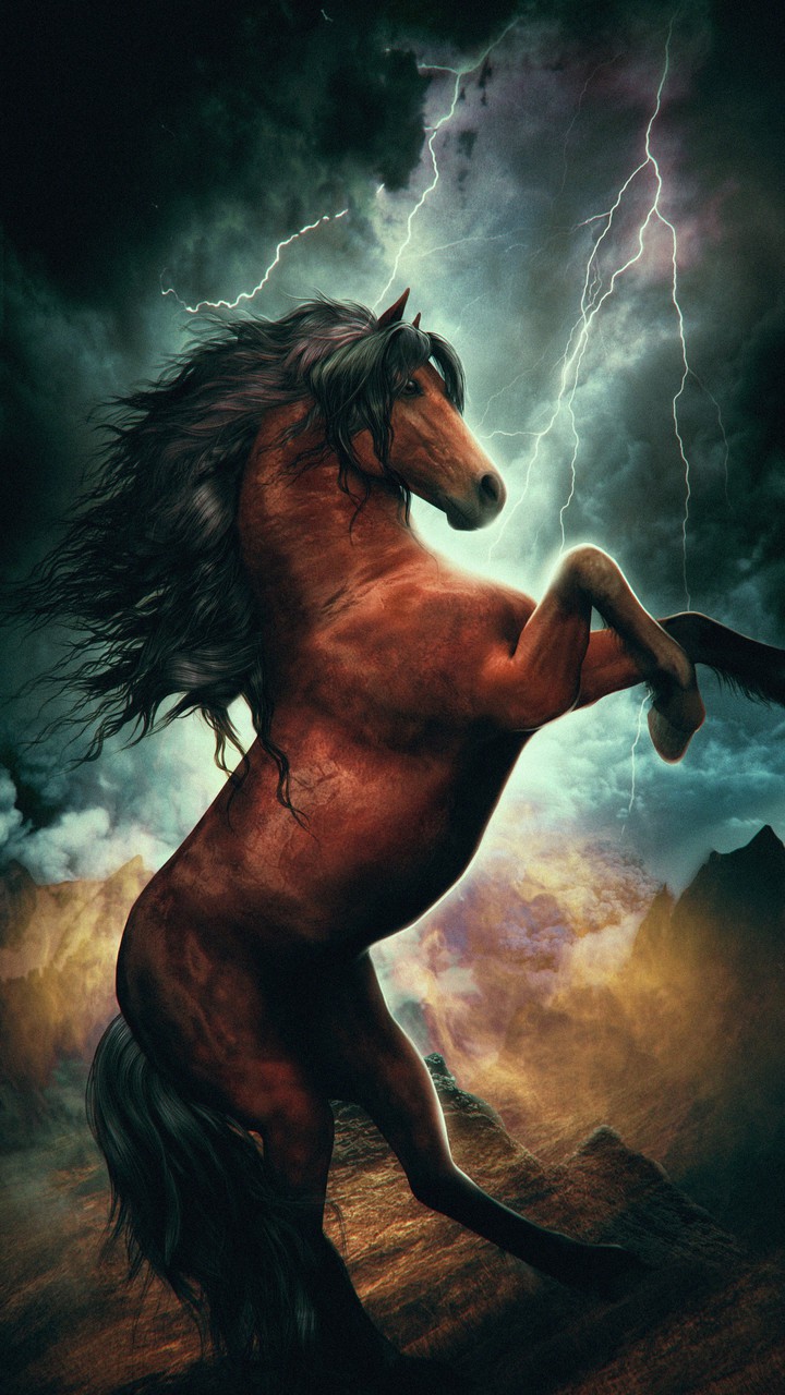 rising horse