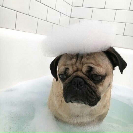 sad
