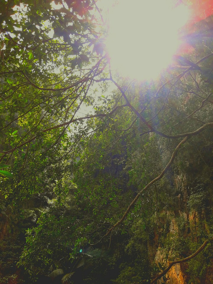 Sunlight