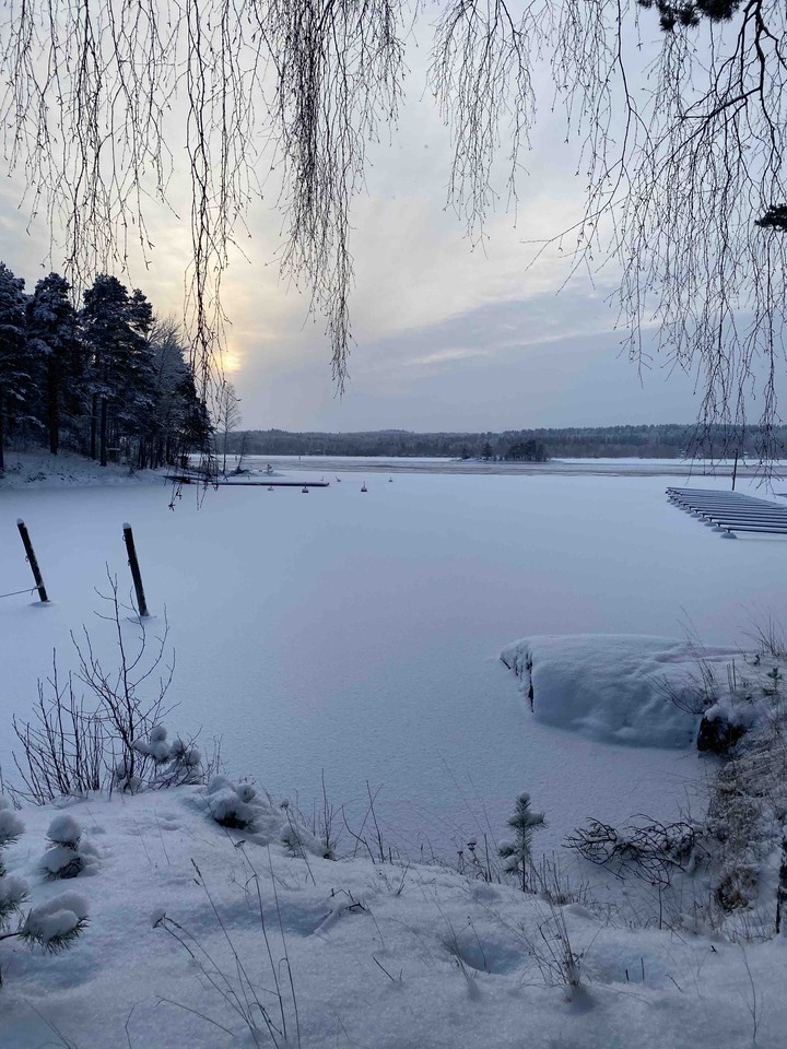 Winter day