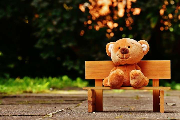 teddy bear