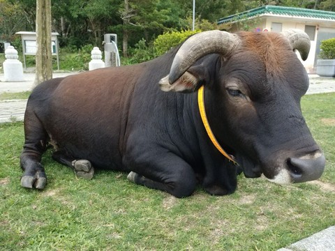 take a rest