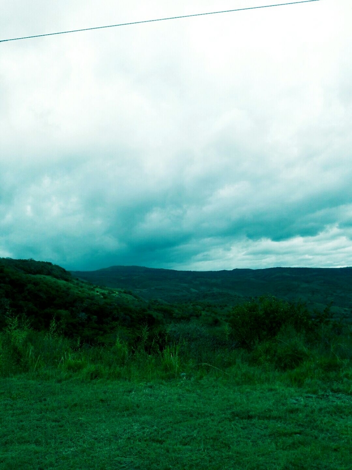 caminos