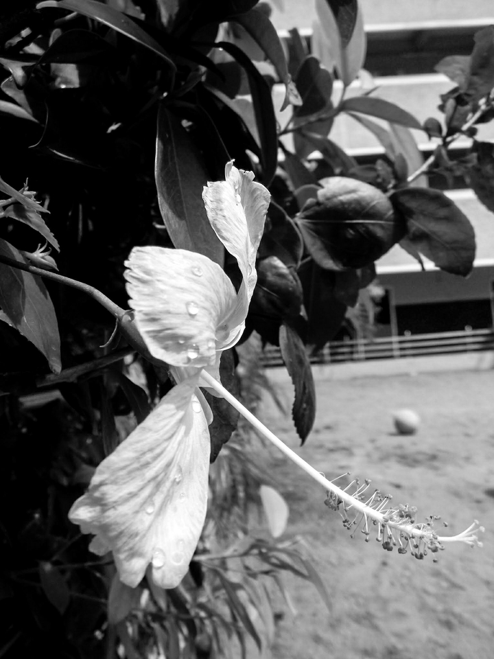 creative black and white