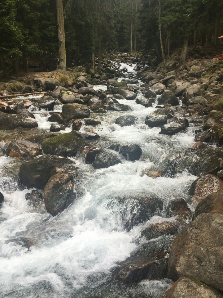nature