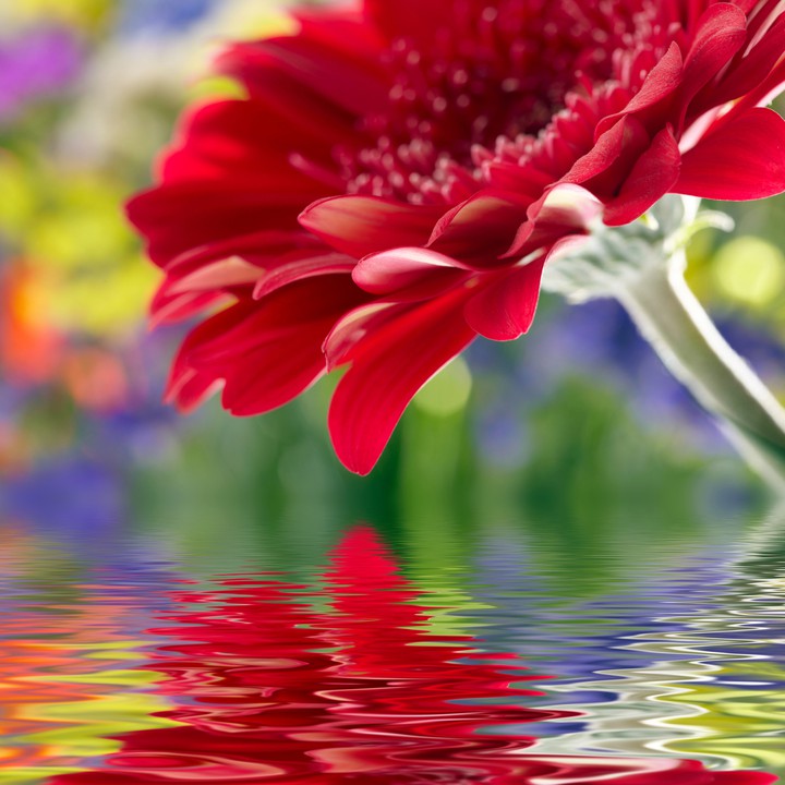 red over water