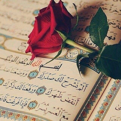 sfondi quran, leaf