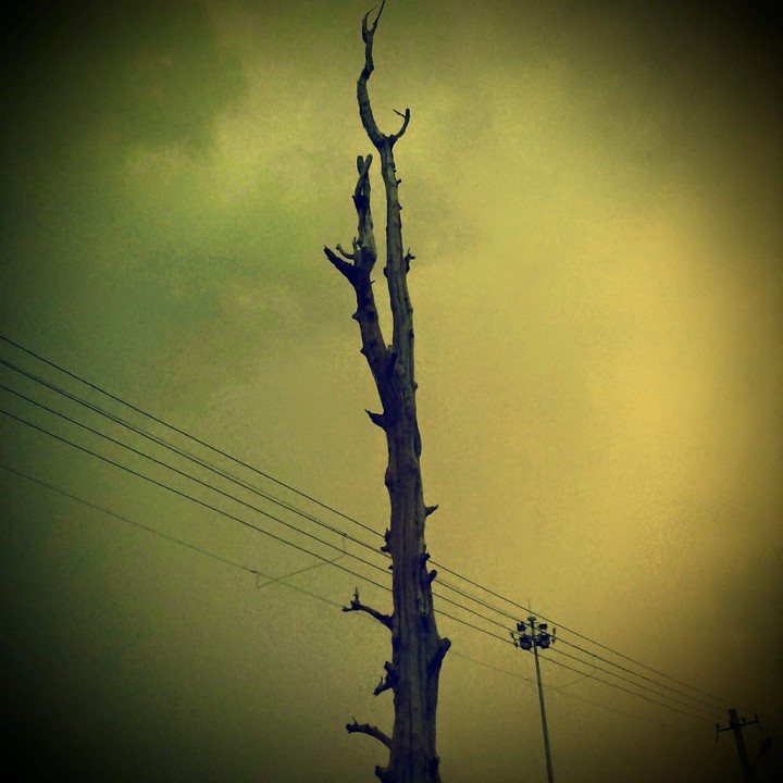 random