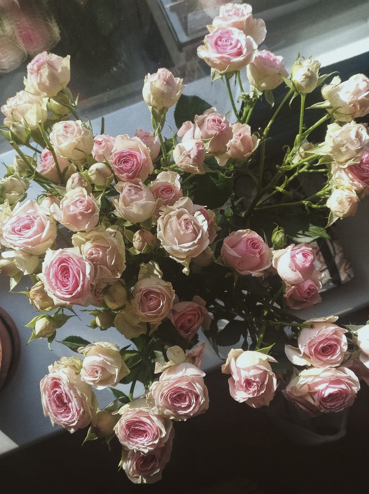rose
