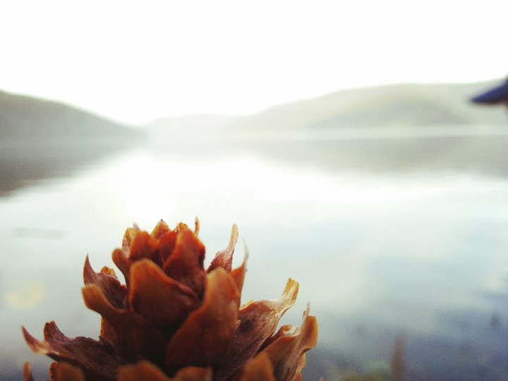 lake