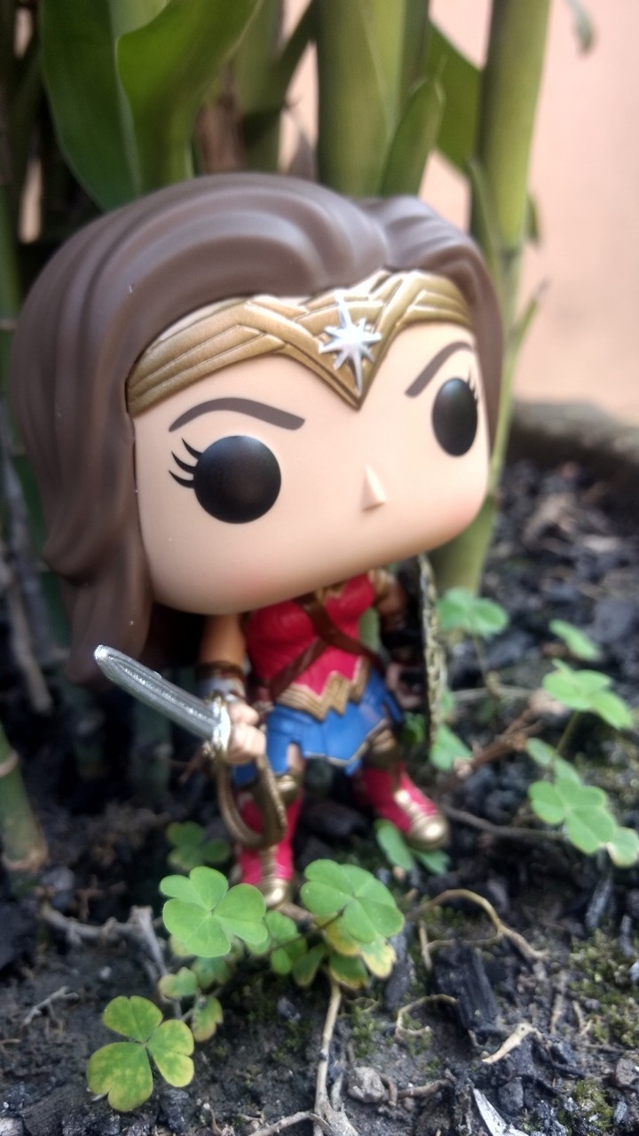 wonder women posing