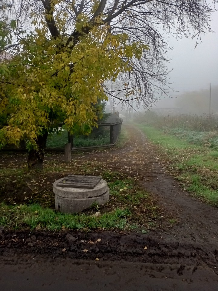 ежиииик лошадкааа