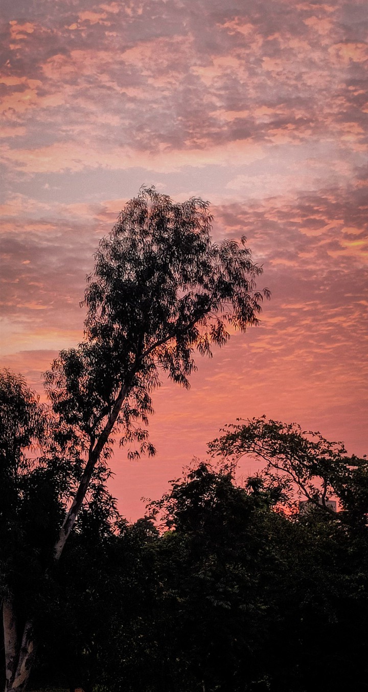 Natural Pink Sky