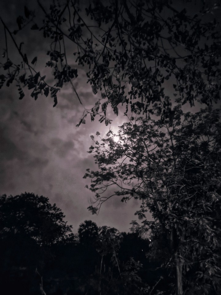 Moon light