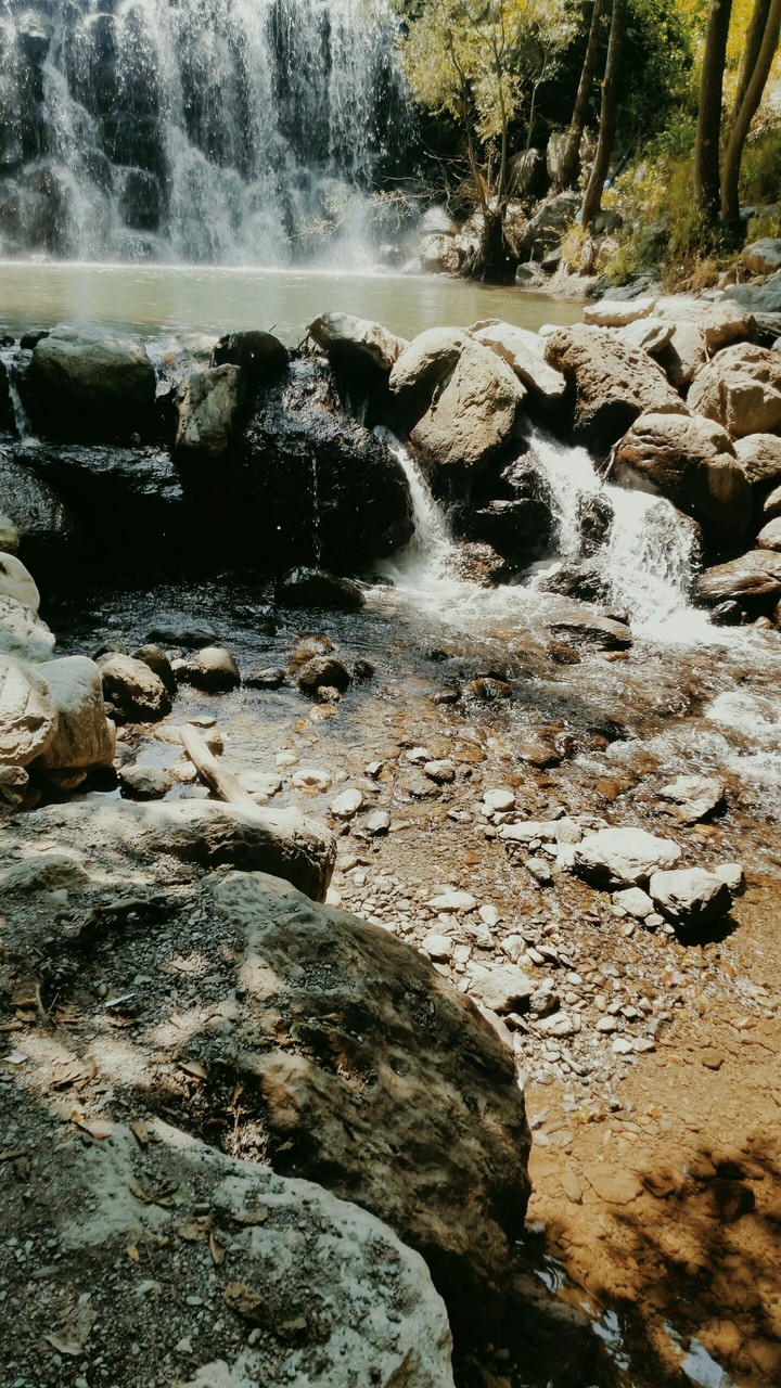 nature day