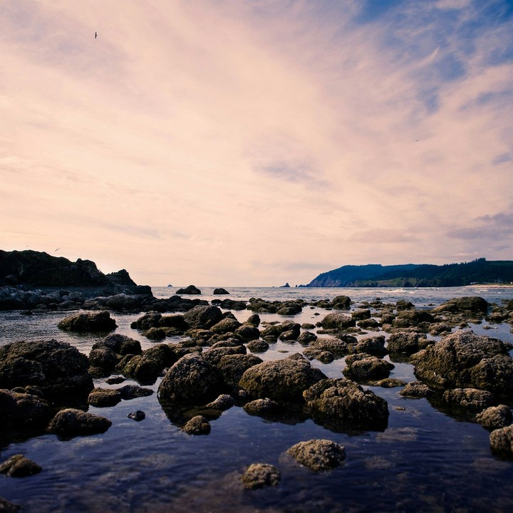 Nature