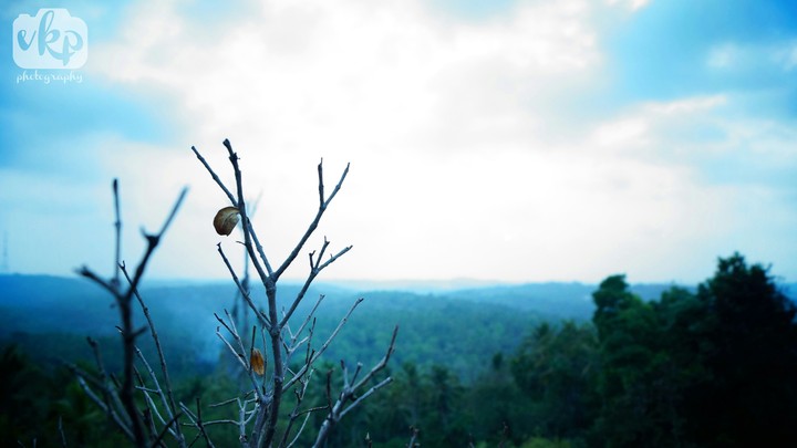 mountain