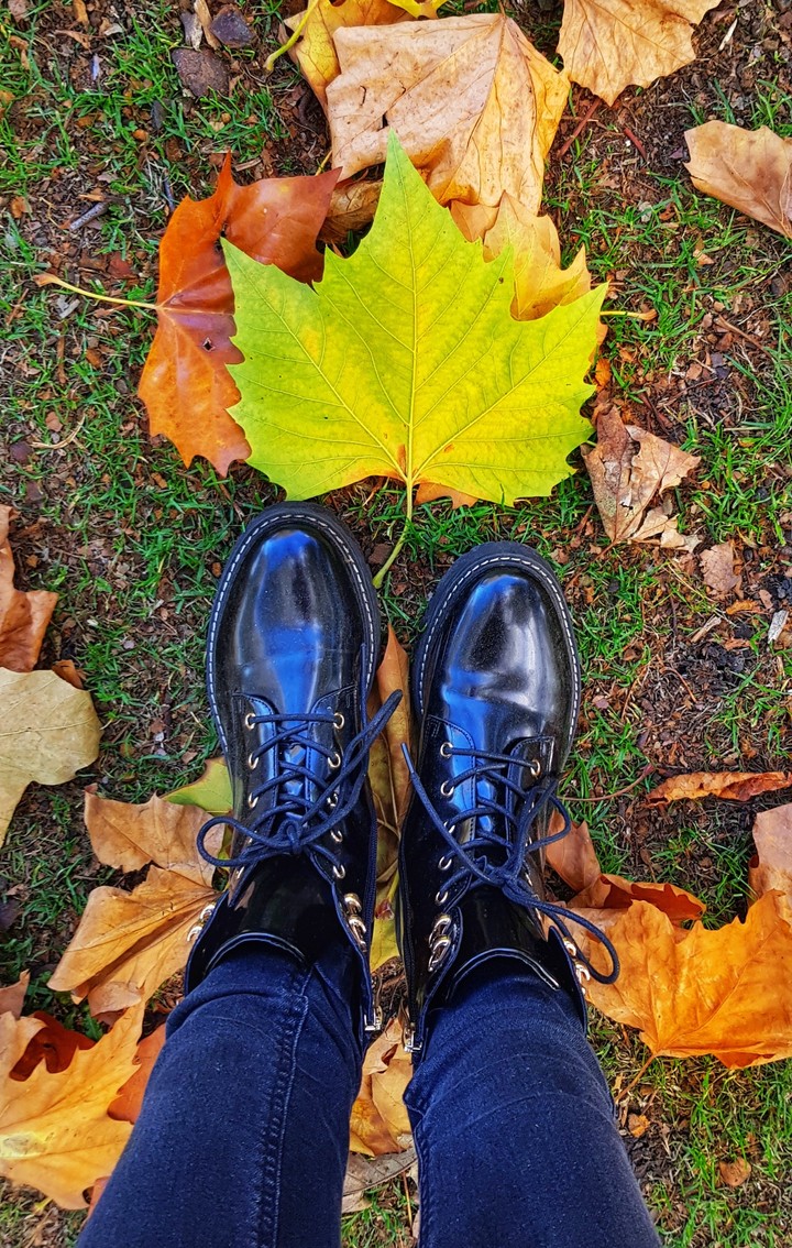 Walk in the park