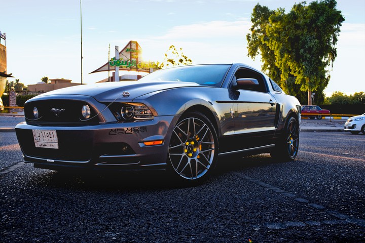 mustang