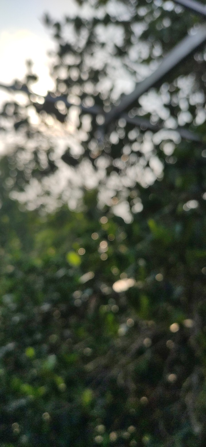 Bokeh