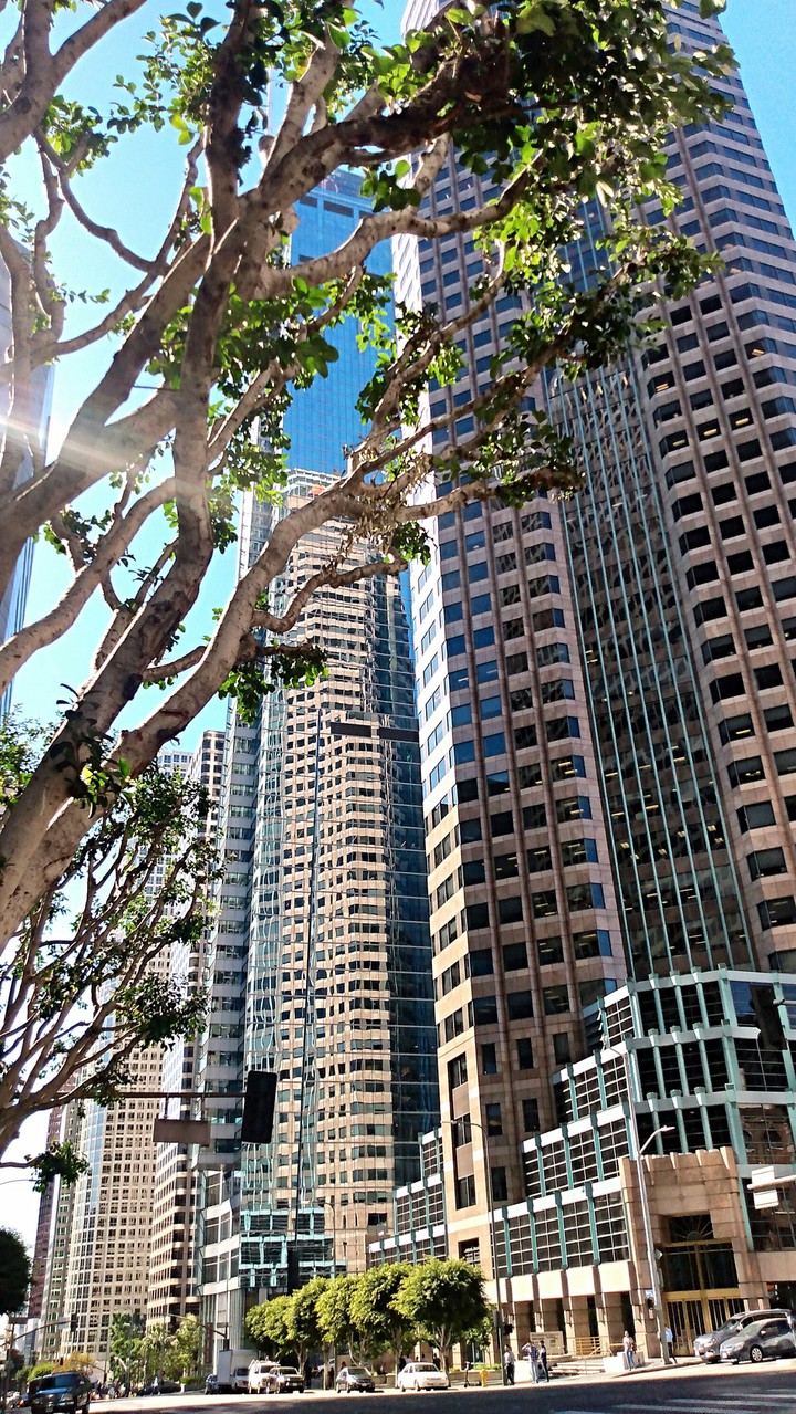 City