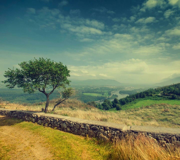 Nature