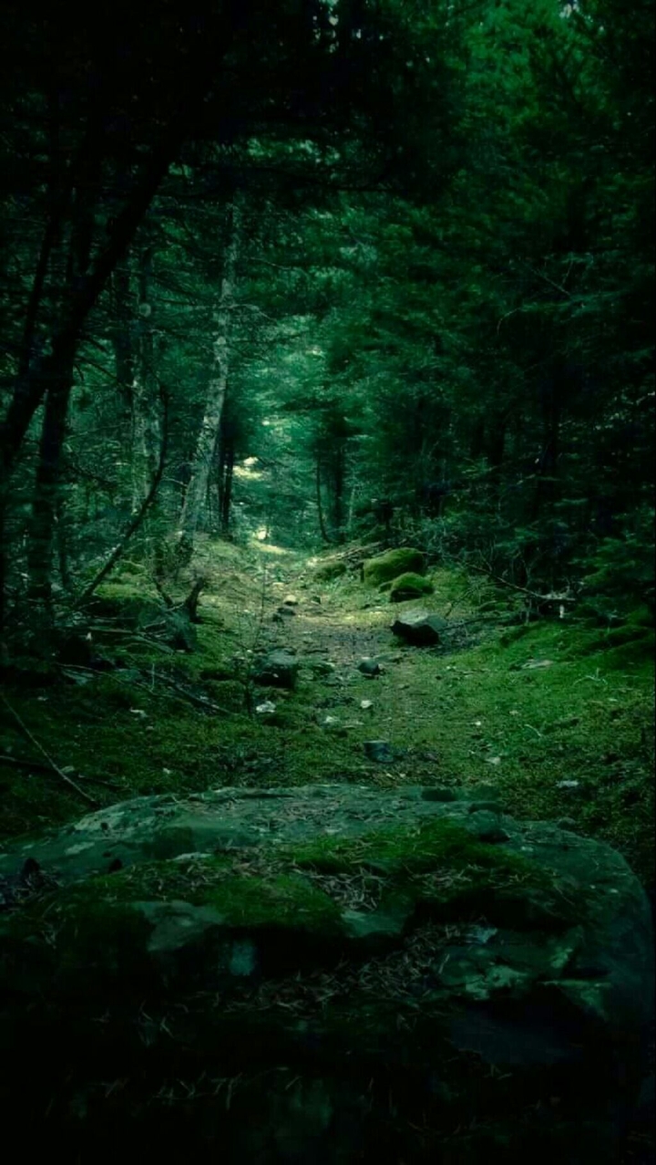 fairytale path