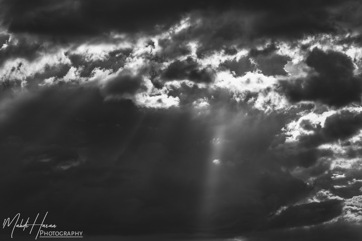 sunlight