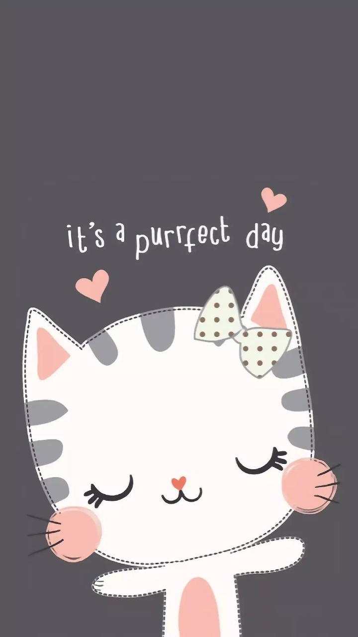 cute cat