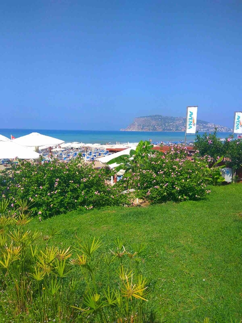 Turkey