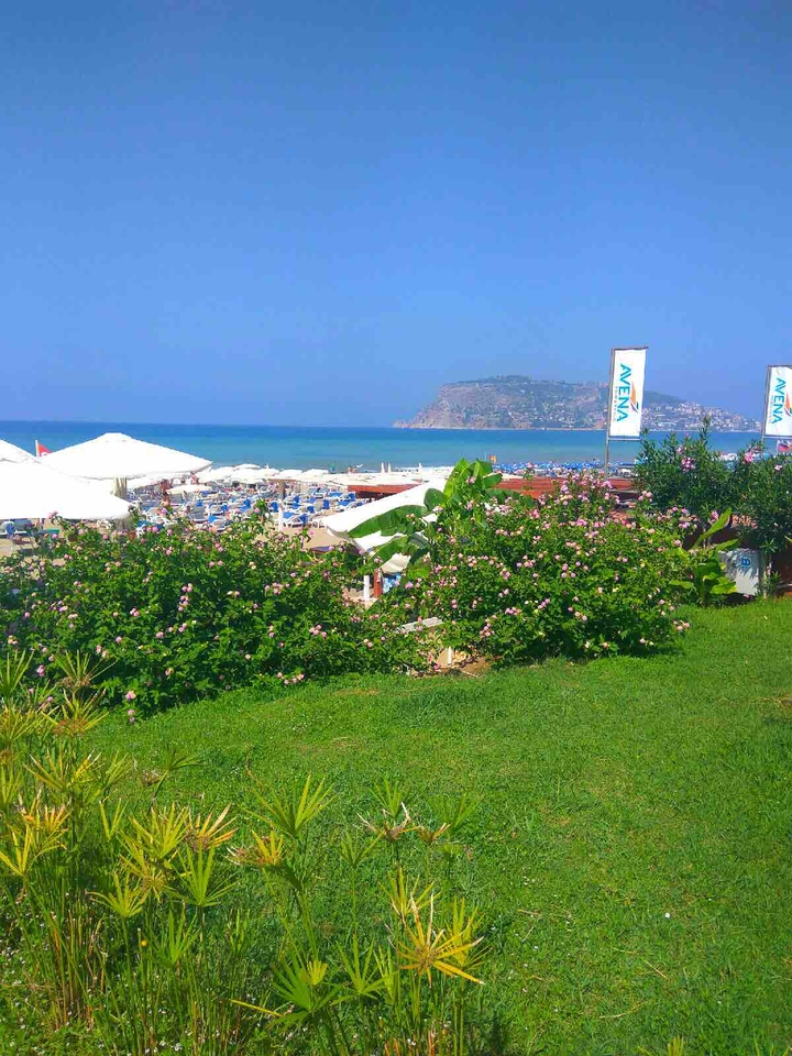 Turkey
