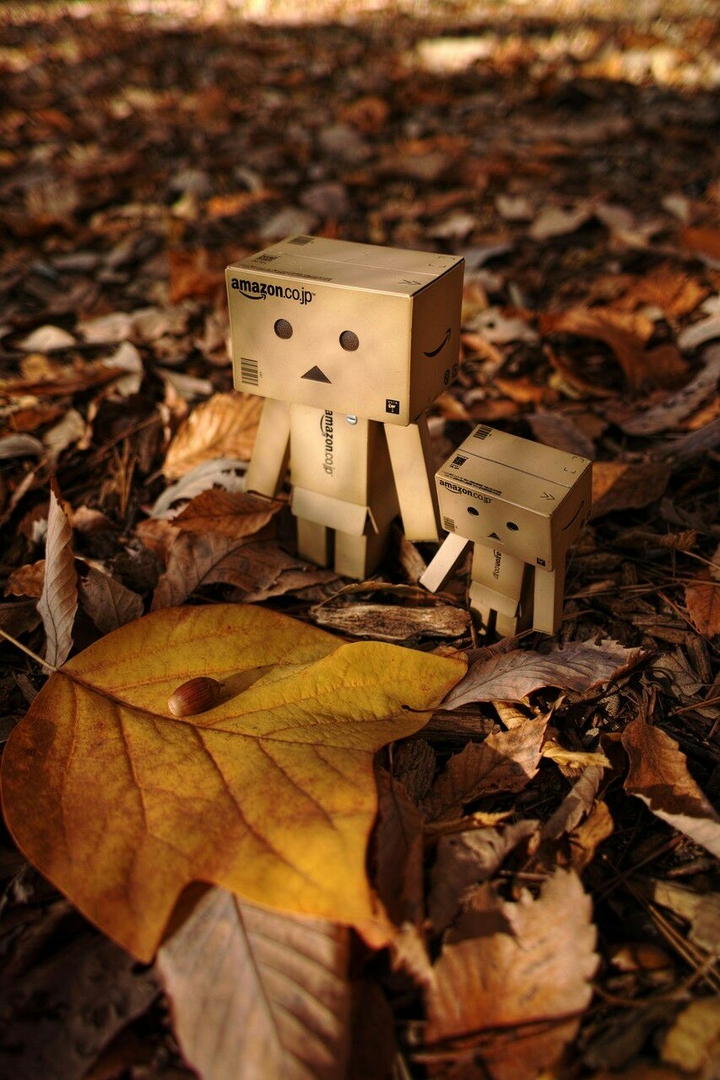 autumn