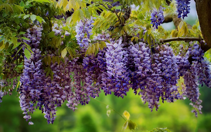 ❁❤️❁
