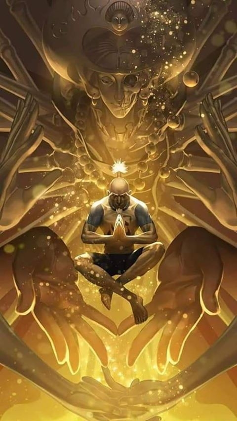 hunter x hunter