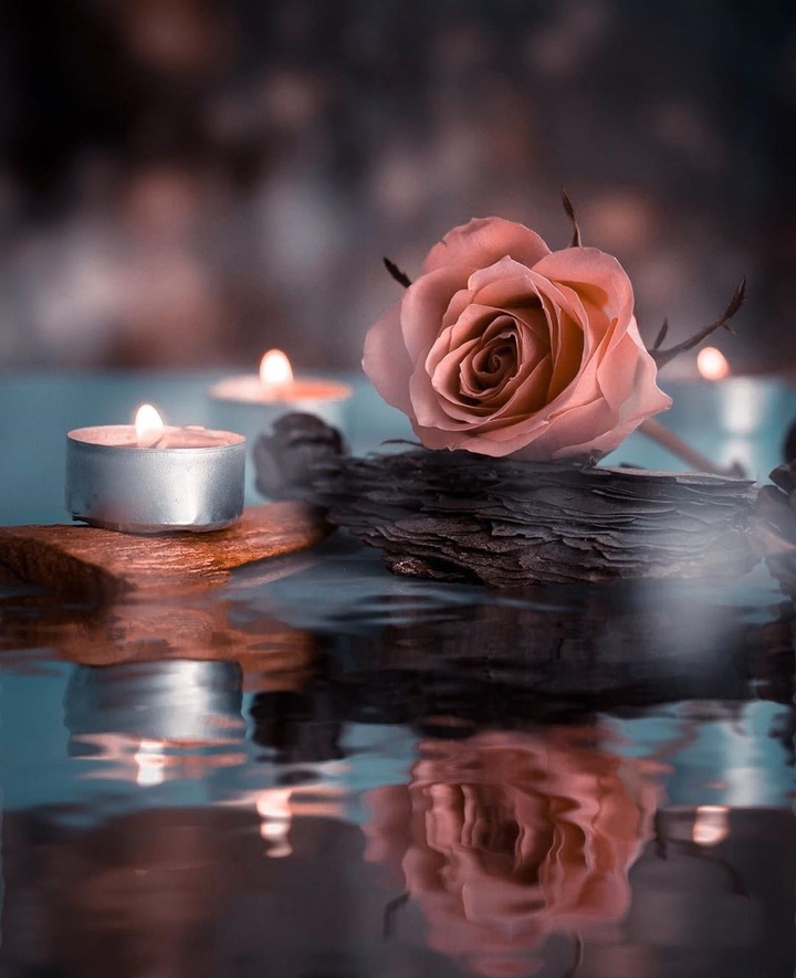 rose