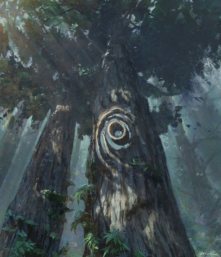 Wonderful inspiring forest