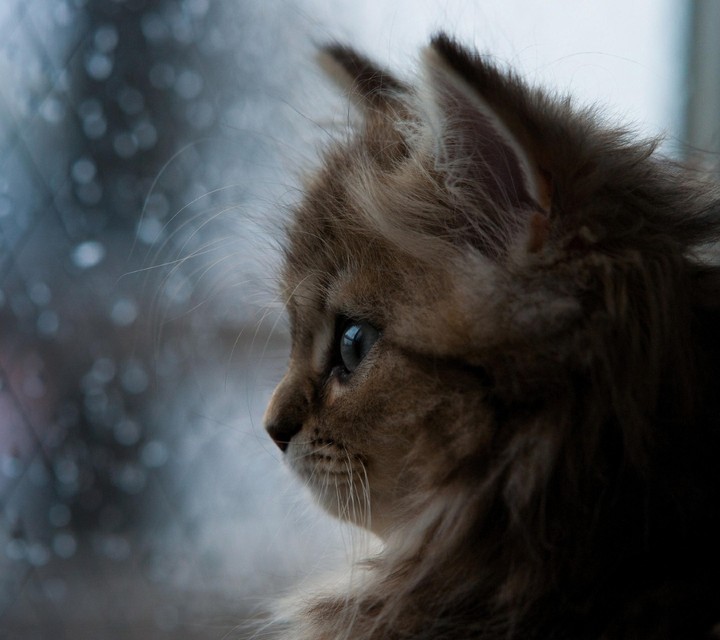 İşte sana bayıldım bennnn