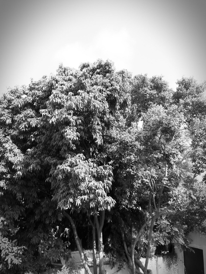 lahore