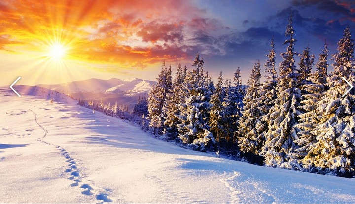 winter