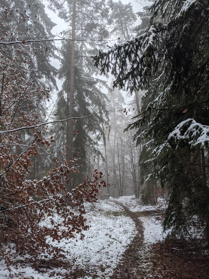 Winter