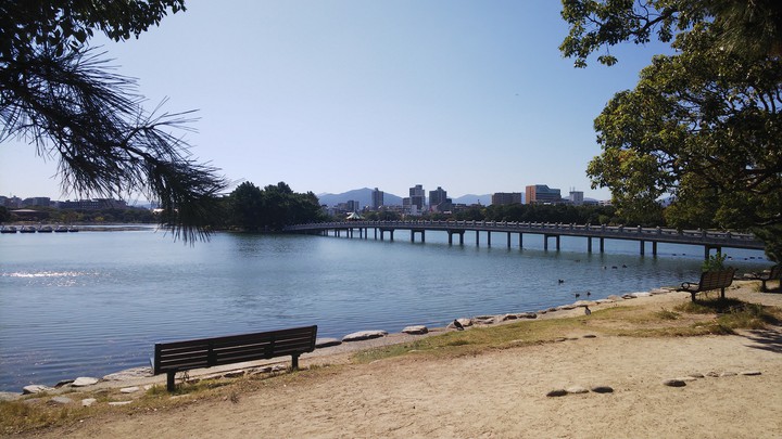 公園の景色