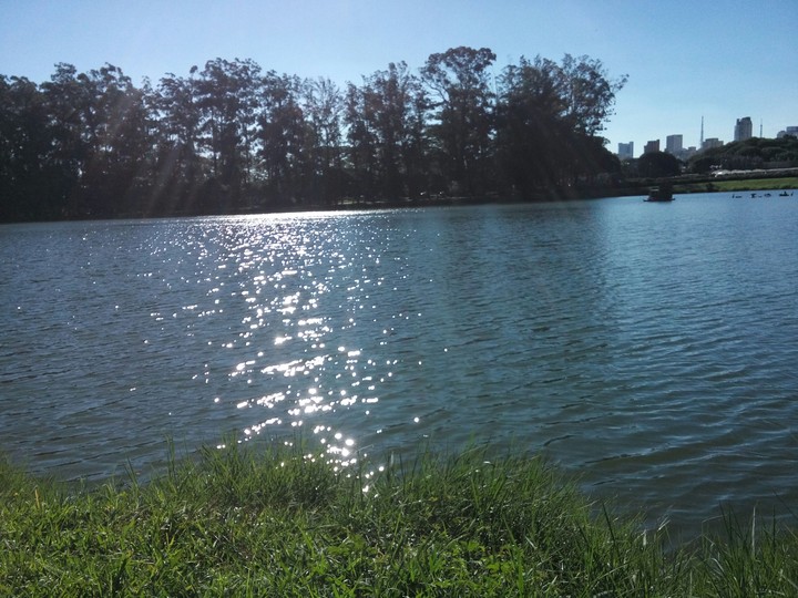 Ibirapuera Park - São Paulo Brazil