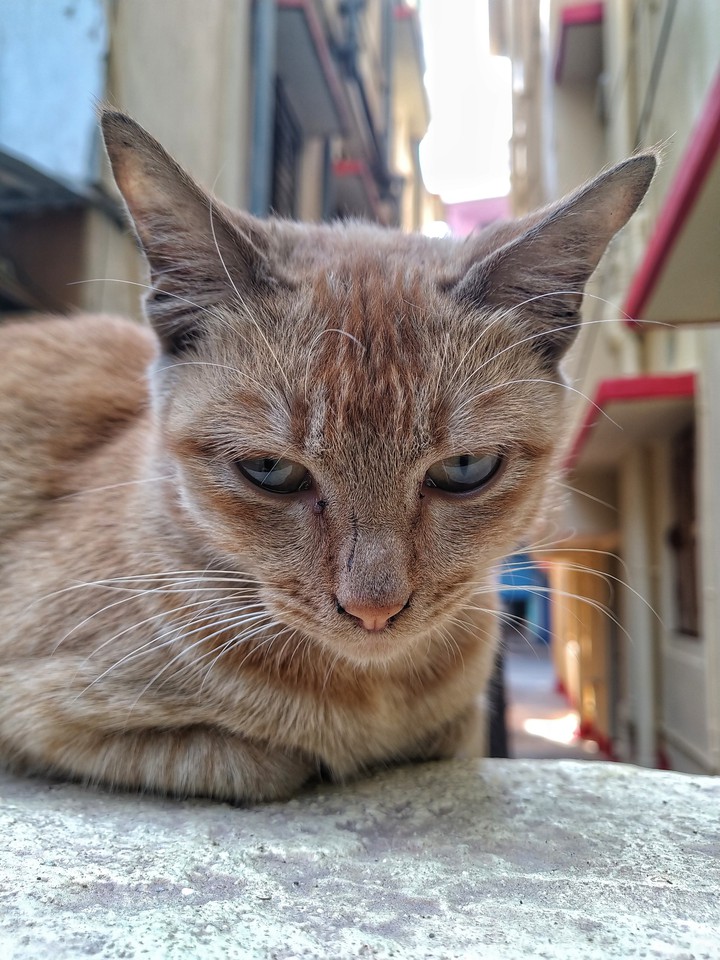 Hello...Cruel world...