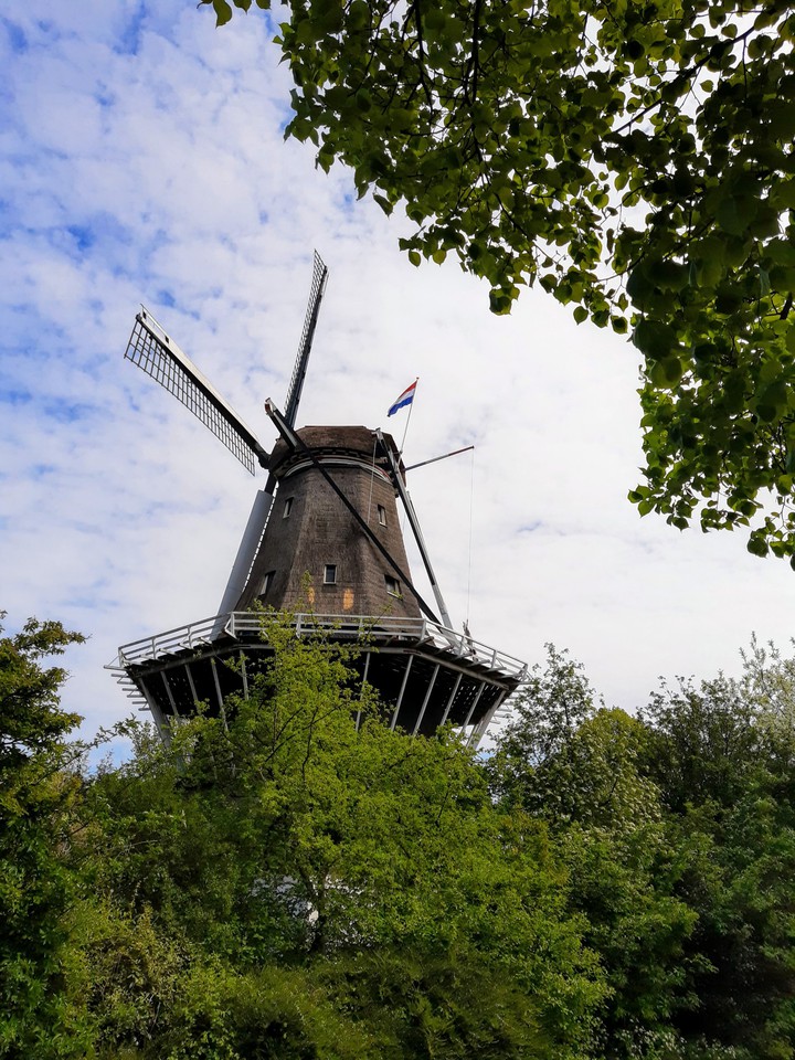 windmills