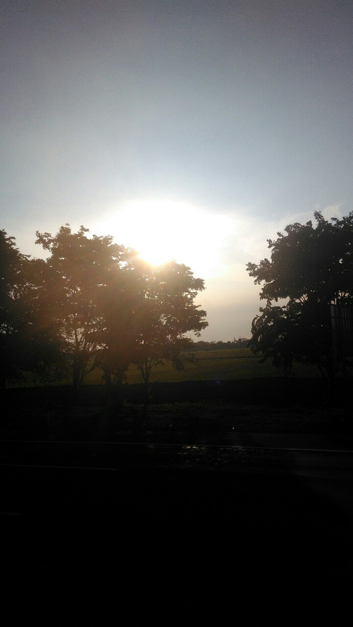 sun