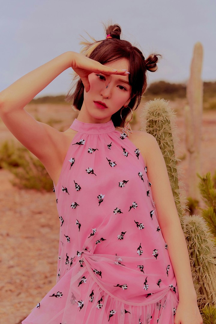 Red Velvet*