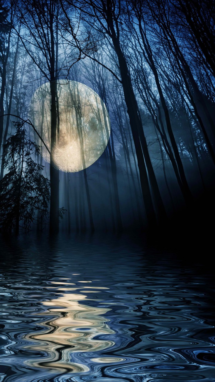 Luces de luna