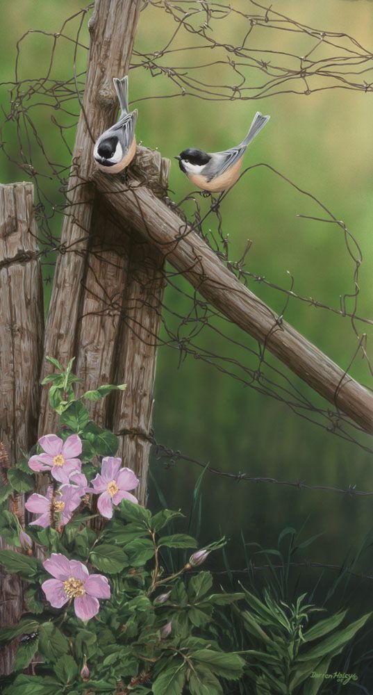 bird